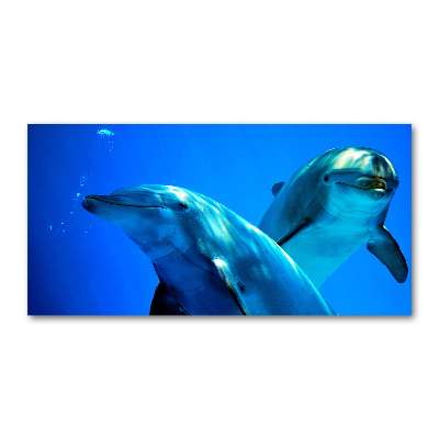 Quadro su vetro acrilico Due delfini
