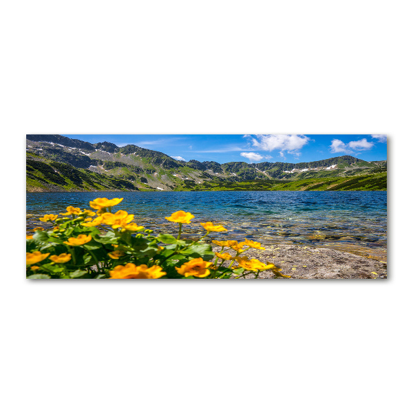 Quadro vetro acrilico Lago tra le montagne