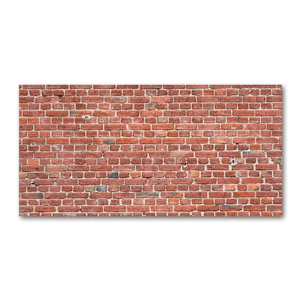 Quadro su vetro acrilico Muro di mattoni