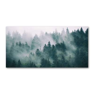Quadro su vetro acrilico Nebbia sulla foresta