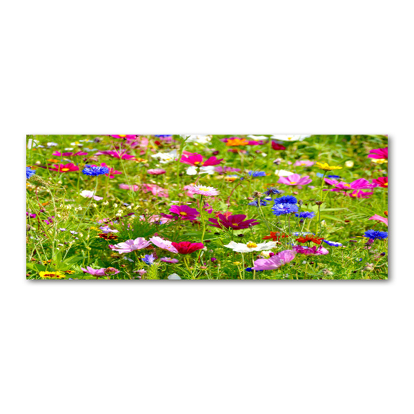 Quadro vetro acrilico Fiori selvatici