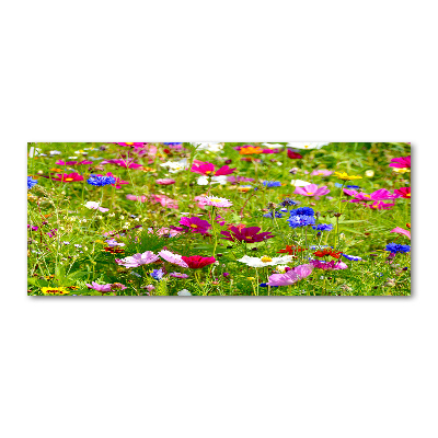 Quadro vetro acrilico Fiori selvatici