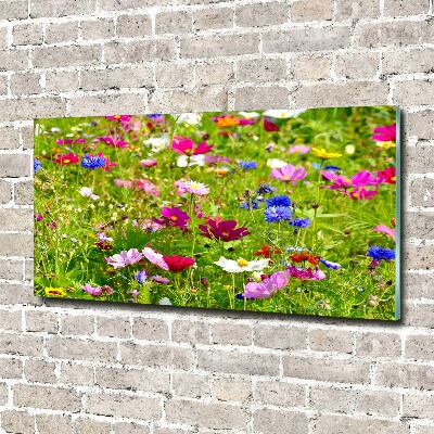 Quadro vetro acrilico Fiori selvatici