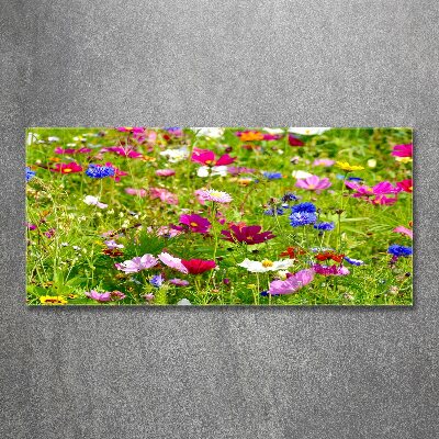 Quadro vetro acrilico Fiori selvatici