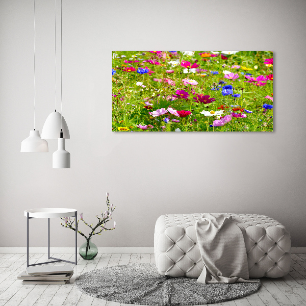 Quadro vetro acrilico Fiori selvatici