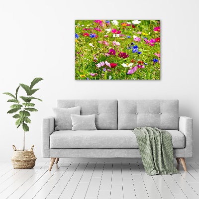 Quadro vetro acrilico Fiori selvatici