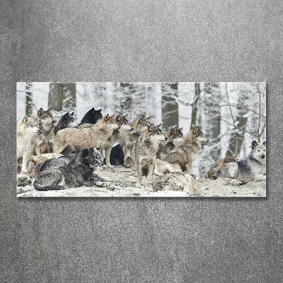 Quadro vetro acrilico Lupi in inverno