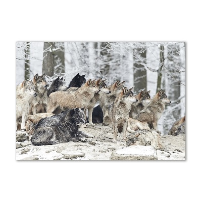 Quadro vetro acrilico Lupi in inverno