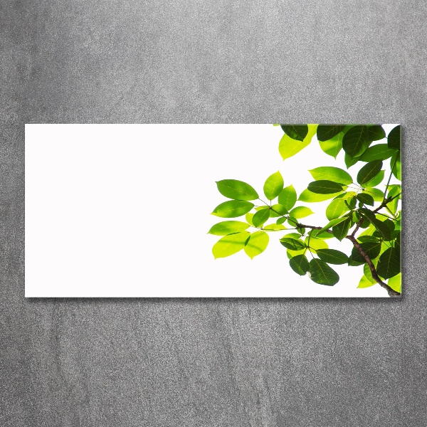 Quadro in vetro acrilico Foglie