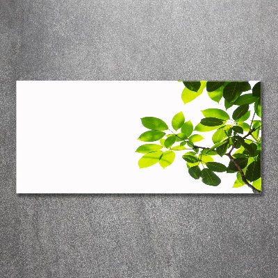 Quadro in vetro acrilico Foglie