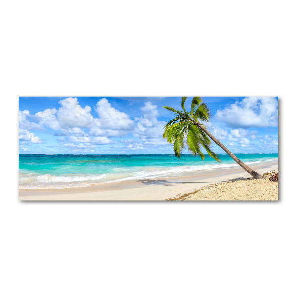 Quadro su vetro acrilico Spiaggia tropicale