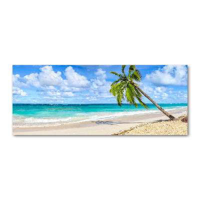 Quadro su vetro acrilico Spiaggia tropicale