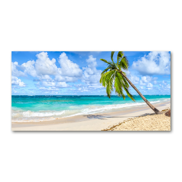 Quadro su vetro acrilico Spiaggia tropicale