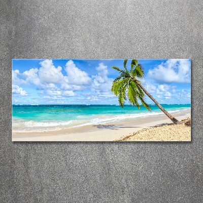 Quadro su vetro acrilico Spiaggia tropicale