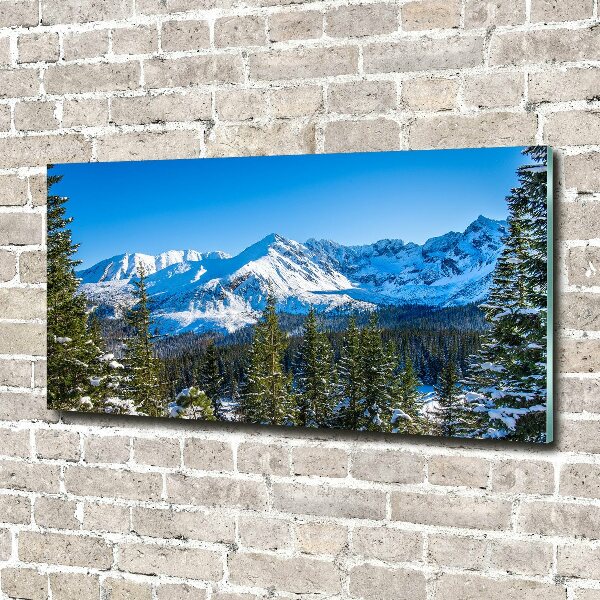 Quadro in vetro acrilico Panorama dei Monti Tatra