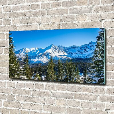Quadro in vetro acrilico Panorama dei Monti Tatra