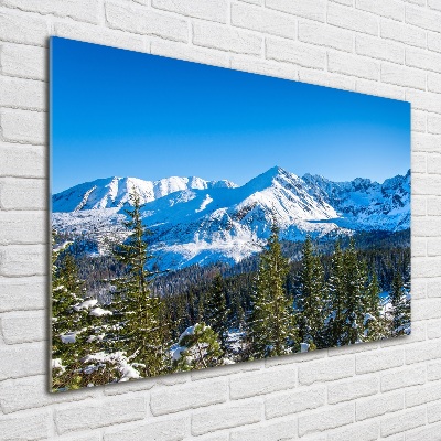 Quadro in vetro acrilico Panorama dei Monti Tatra