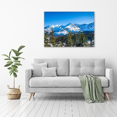 Quadro in vetro acrilico Panorama dei Monti Tatra