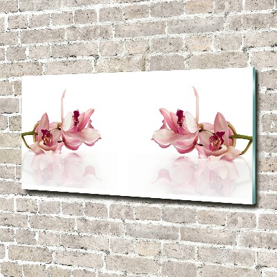 Quadro su vetro acrilico Orchidea