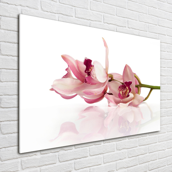 Quadro su vetro acrilico Orchidea