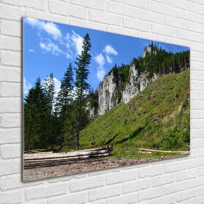 Quadro vetro acrilico Cime rocciose
