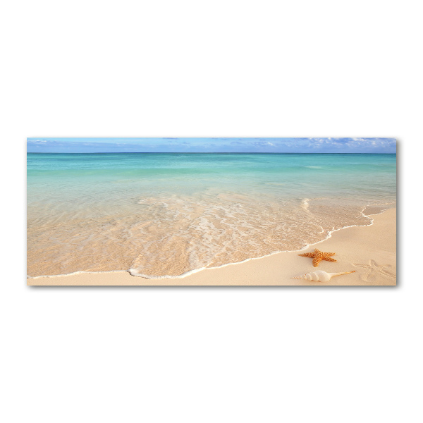 Quadro in vetro acrilico Stelle marine sulla spiaggia
