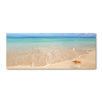 Quadro in vetro acrilico Stelle marine sulla spiaggia
