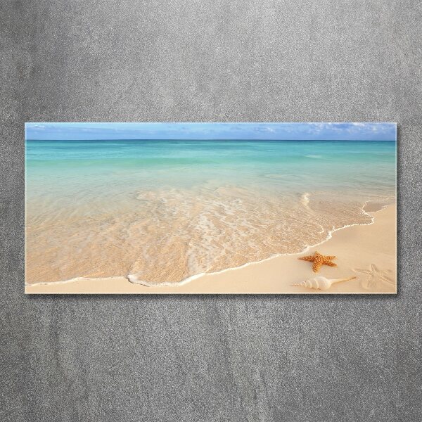 Quadro in vetro acrilico Stelle marine sulla spiaggia
