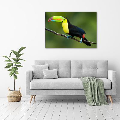 Quadro vetro acrilico Tucano