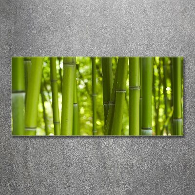 Quadro in vetro acrilico Bambù