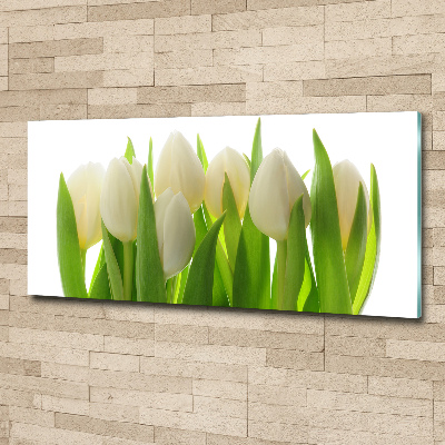 Quadro in vetro acrilico Tulipani