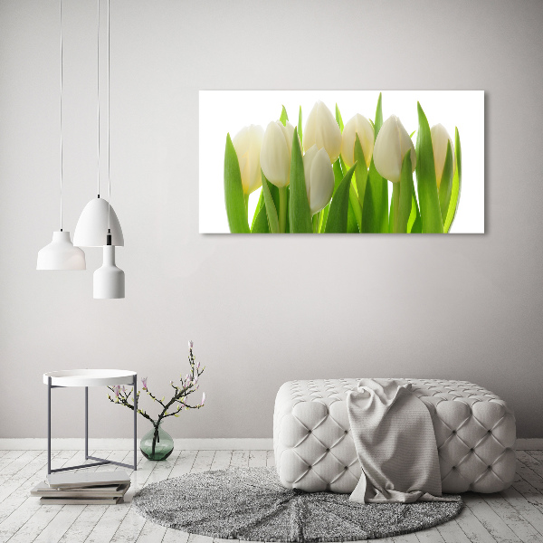Quadro in vetro acrilico Tulipani