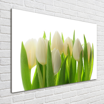 Quadro in vetro acrilico Tulipani