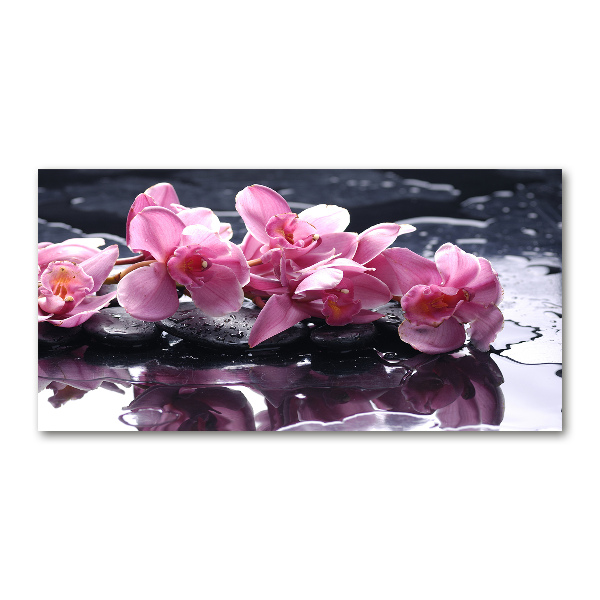 Quadro vetro acrilico Orchidea rosa