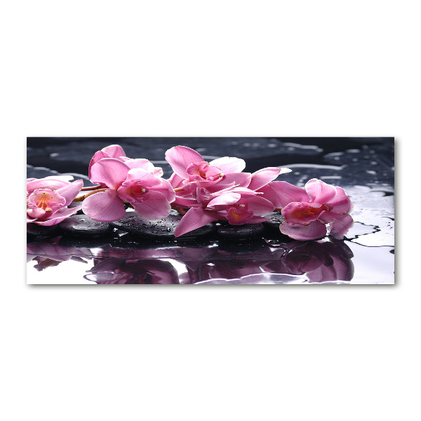 Quadro vetro acrilico Orchidea rosa