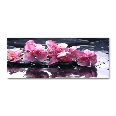 Quadro vetro acrilico Orchidea rosa