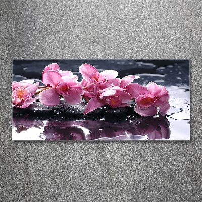 Quadro vetro acrilico Orchidea rosa