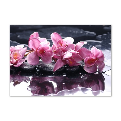 Quadro vetro acrilico Orchidea rosa