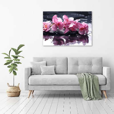 Quadro vetro acrilico Orchidea rosa
