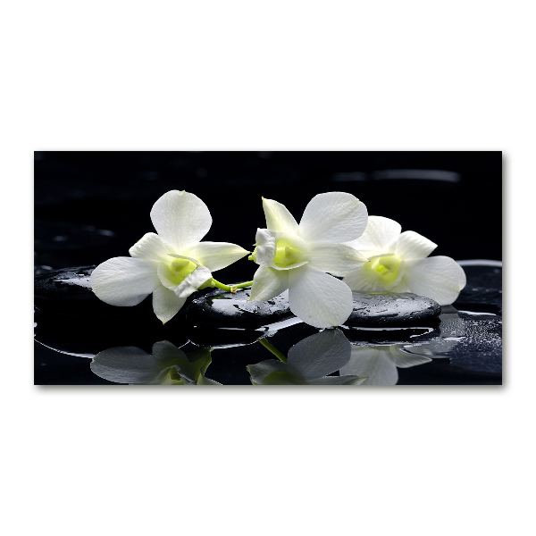 Quadro su vetro acrilico Orchidea