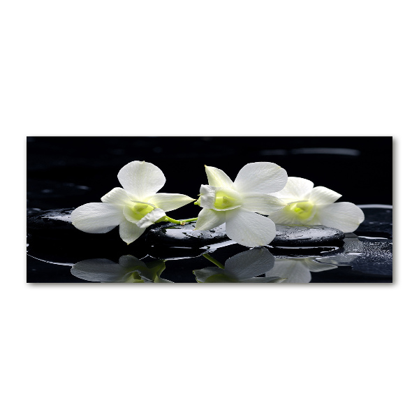 Quadro su vetro acrilico Orchidea