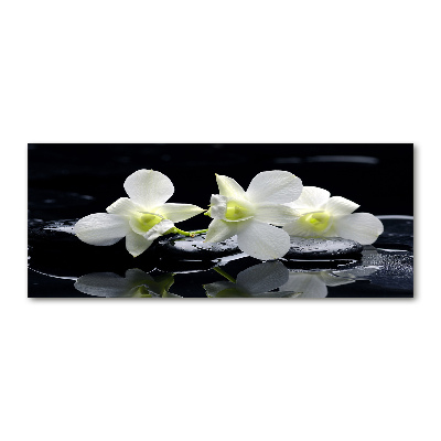 Quadro su vetro acrilico Orchidea