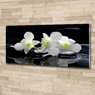 Quadro su vetro acrilico Orchidea
