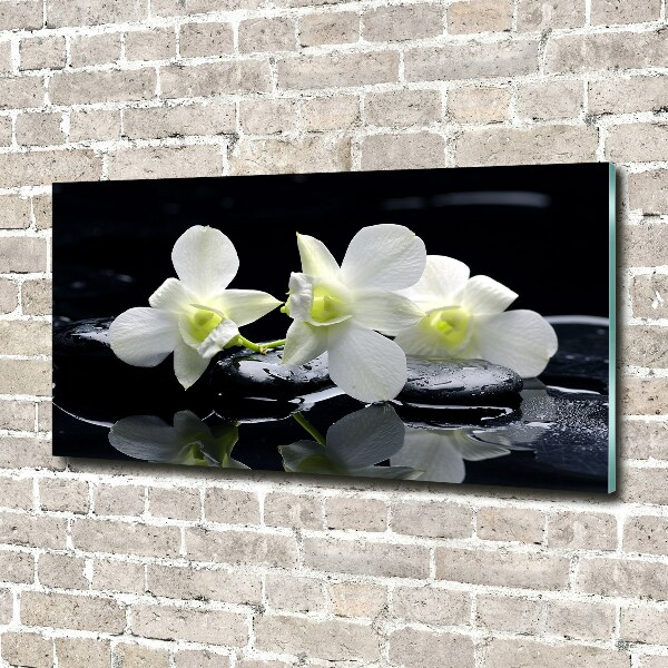 Quadro su vetro acrilico Orchidea