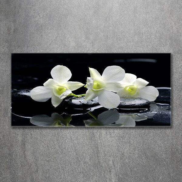 Quadro su vetro acrilico Orchidea