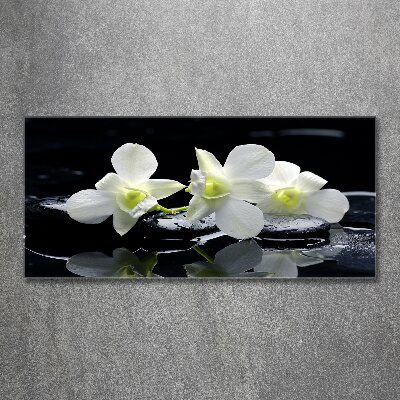 Quadro su vetro acrilico Orchidea