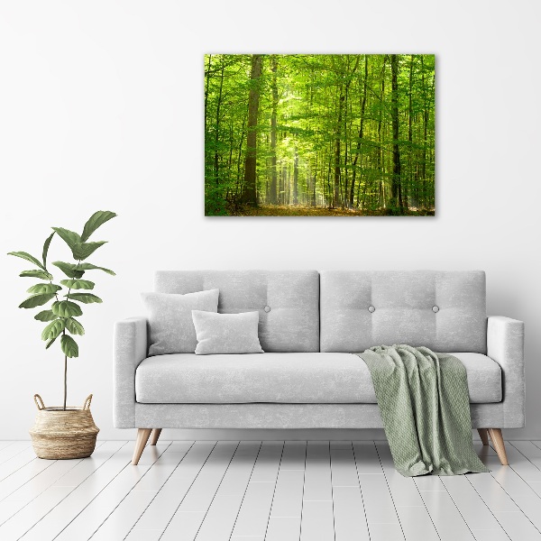 Quadro vetro acrilico Foresta di latifoglie