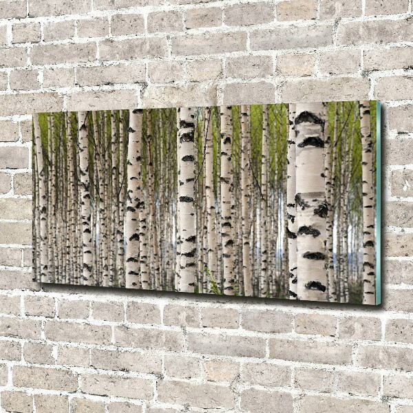 Quadro su vetro acrilico Foresta di betulle