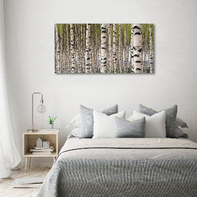 Quadro su vetro acrilico Foresta di betulle