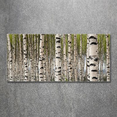 Quadro su vetro acrilico Foresta di betulle